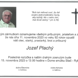 Plachý